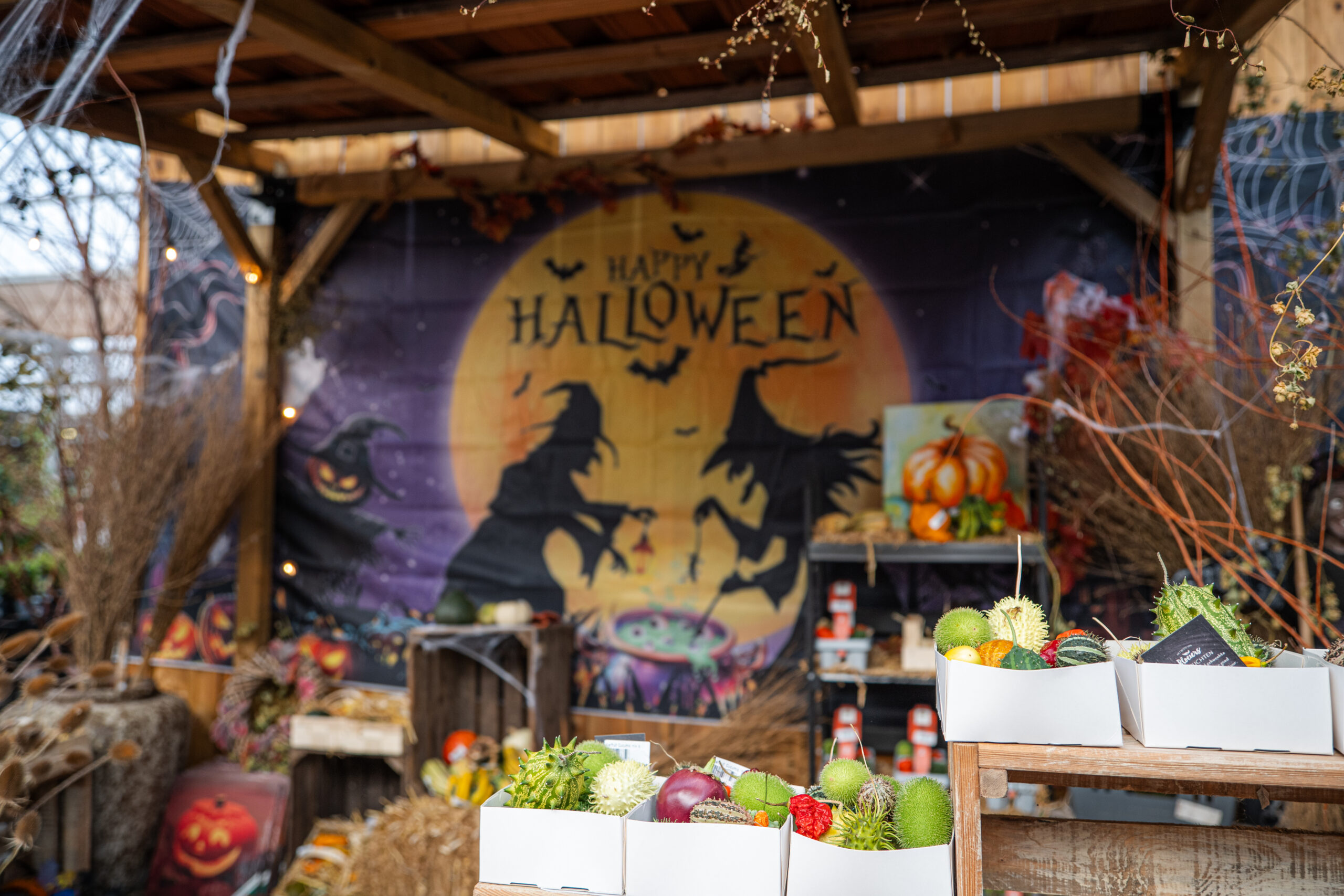 Griezelen tijdens Halloween op winkelboulevard Palazzo Lelystad